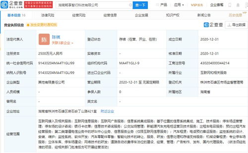 北京智行战略布局湖南，投资新公司抢占信息系统集成服务市场